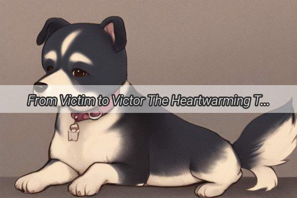 From Victim to Victor The Heartwarming Tale of a Puppy Beaten by a Cat